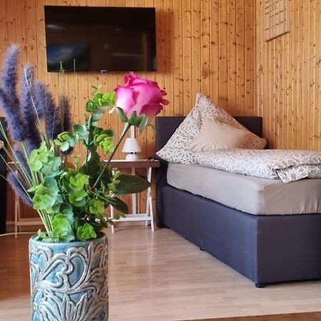 City Apartment Triberg Triberg im Schwarzwald Kültér fotó